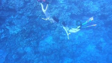 游戏开始是小飞碟然后变成小人的横版街机？